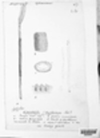 Epichloe typhina image